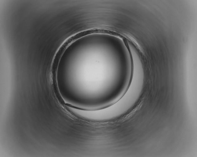 X0000113140924200909110931