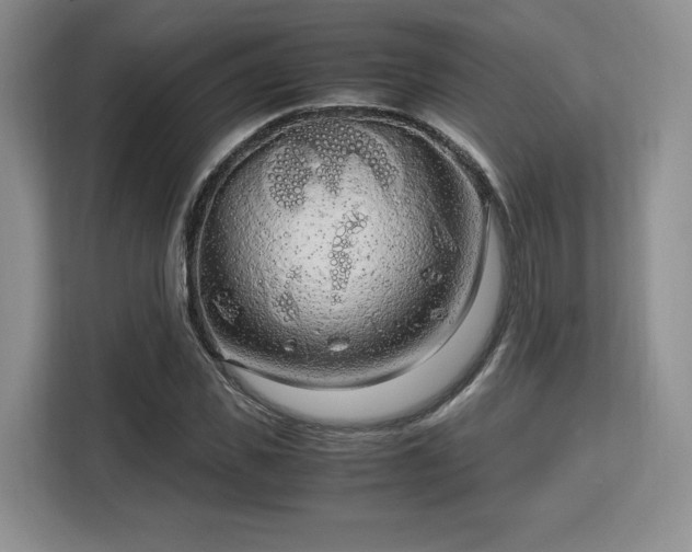 X0000113140925200909110931