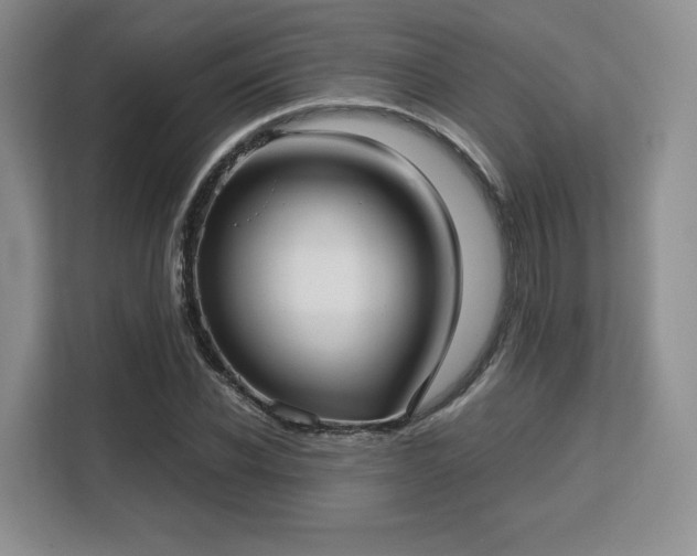 X0000113140926200909110931