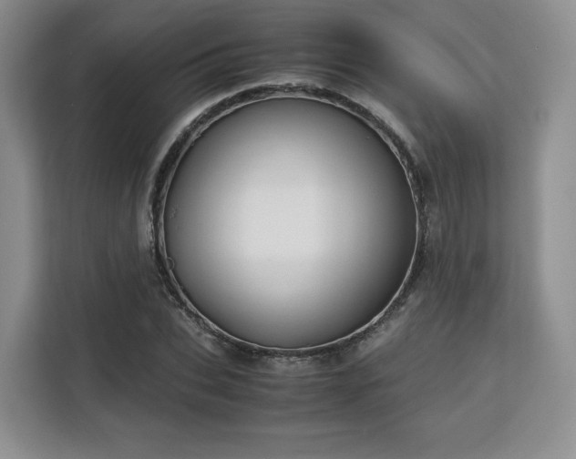 X0000113140927200909110931