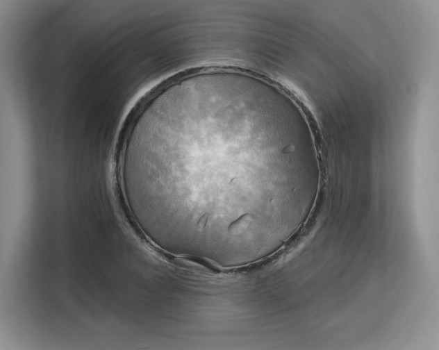 X0000113140928200909110931