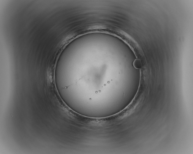 X0000113140929200909110931