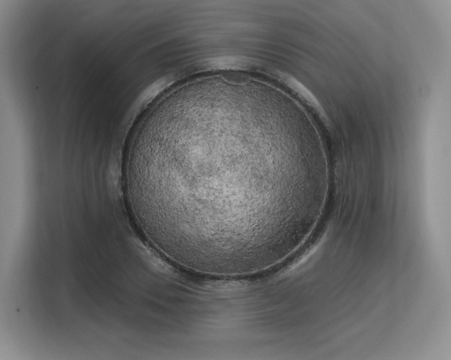 X0000113140930200909110931