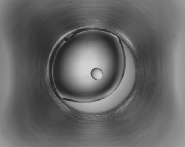 X0000113140932200909110931