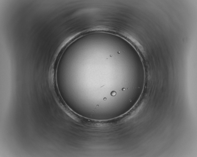 X0000113140933200909110931