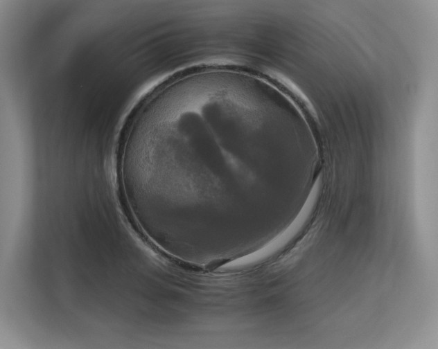 X0000113140935200909110931