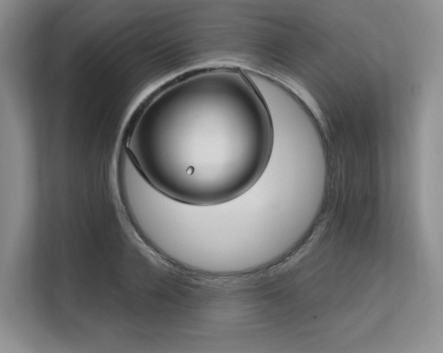 X0000113140936200909110931