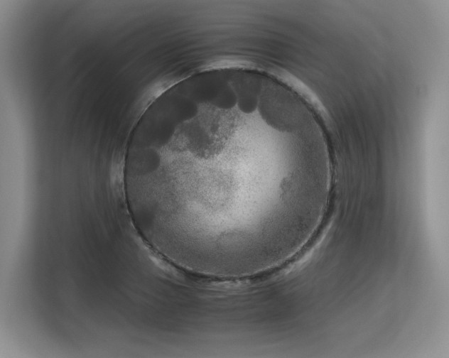 X0000113140937200909110931