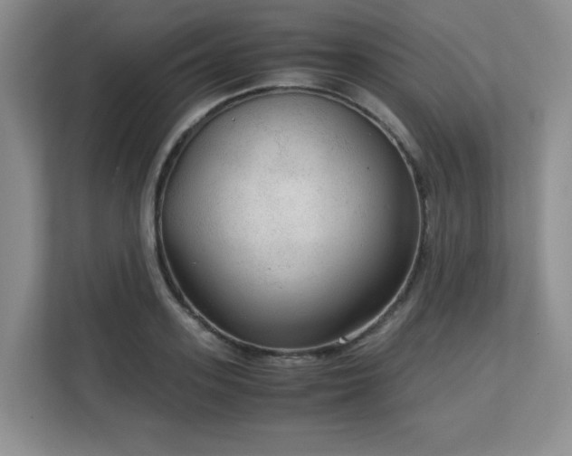 X0000113140939200909110931