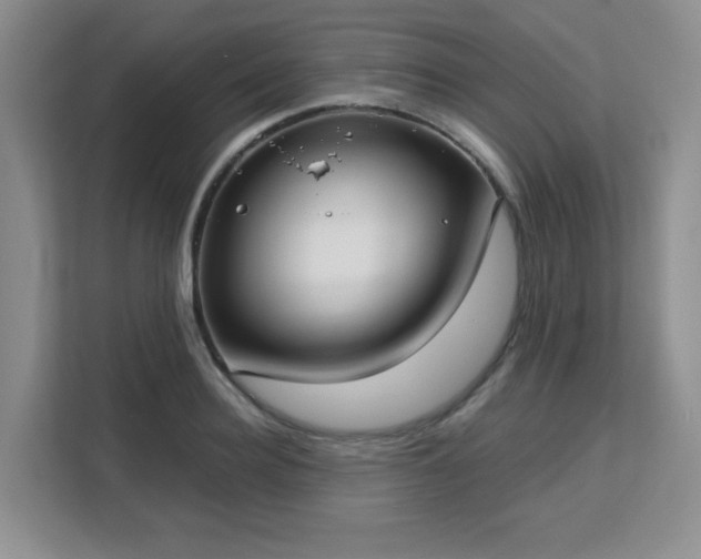 X0000113140940200909110931