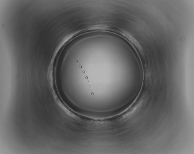 X0000113140941200909110931