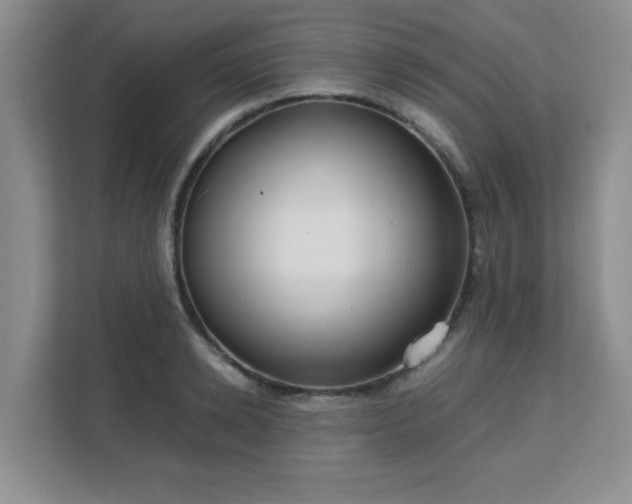 X0000113140942200909110931