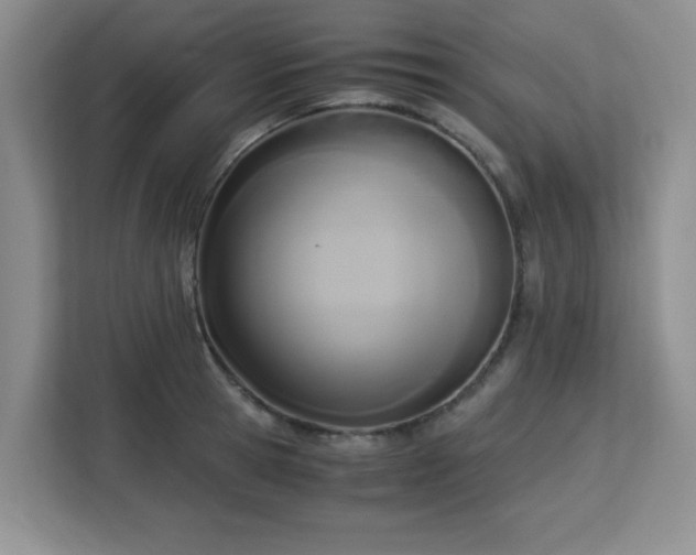 X0000113140945200909110931