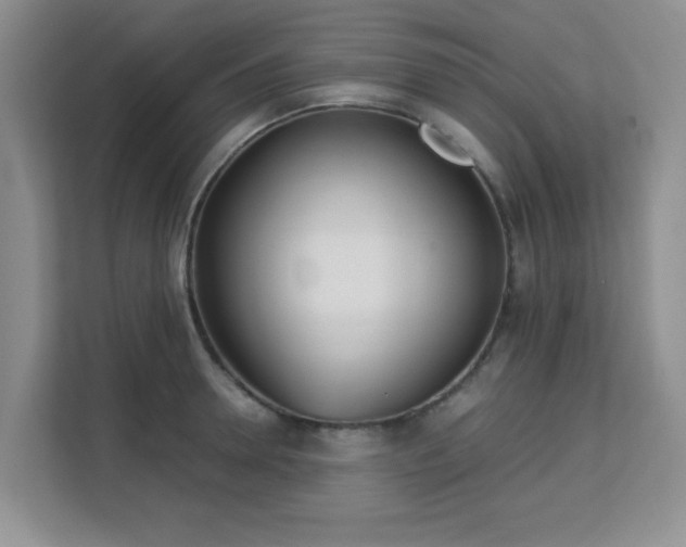 X0000113140946200909110931