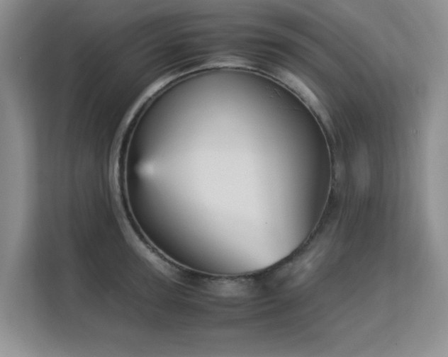 X0000113140947200909110931