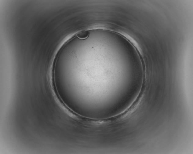 X0000113140949200909110931