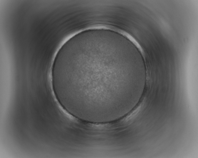 X0000113140951200909110931