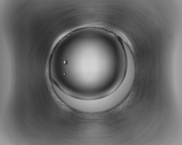 X0000113140952200909110931