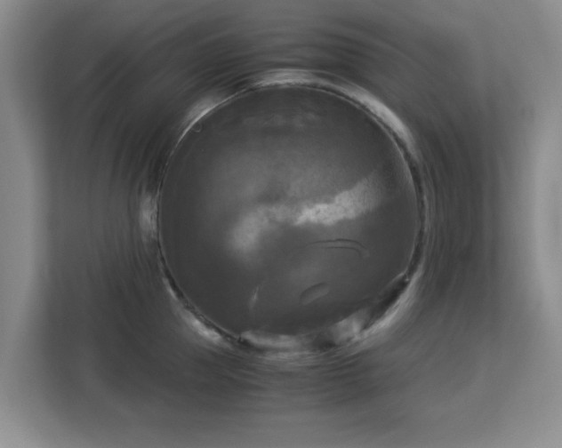 X0000113140953200909110931