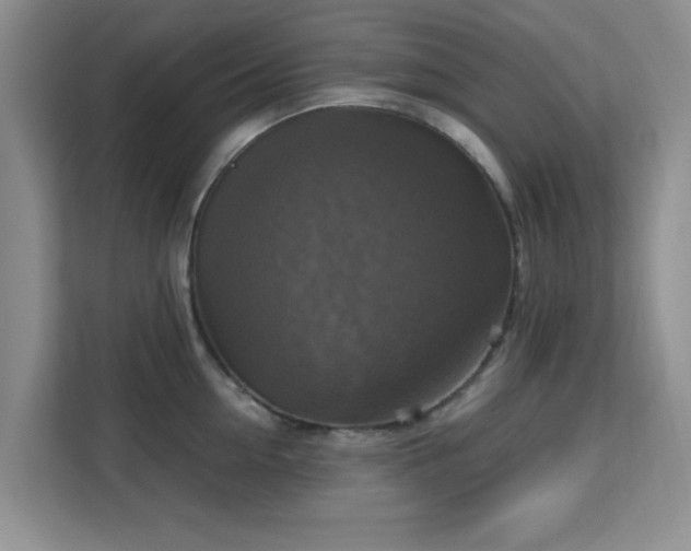 X0000113140954200909110931