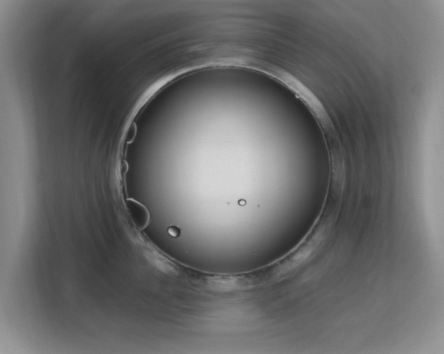 X0000113140956200909110931