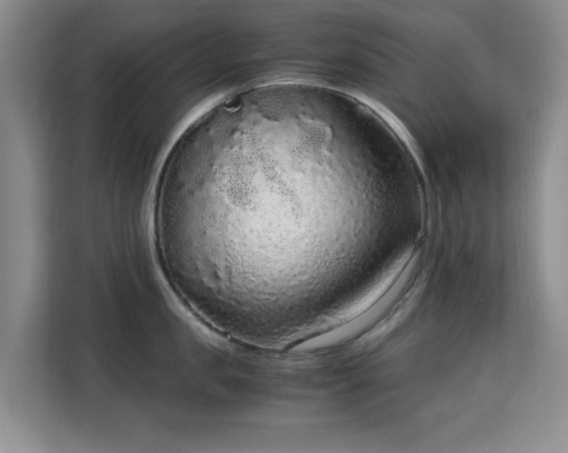 X0000113140957200909110931