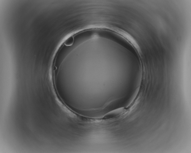 X0000113140958200909110931