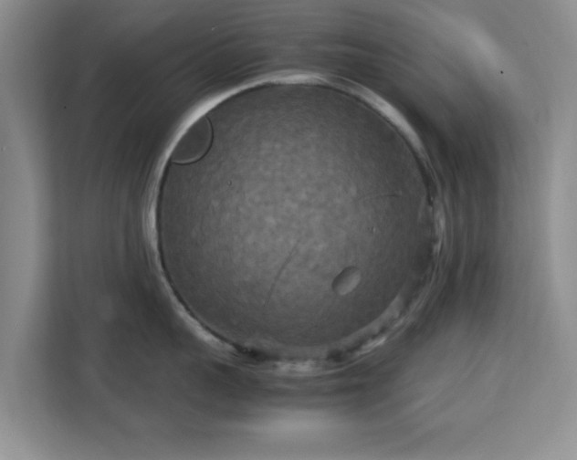 X0000113140959200909110931