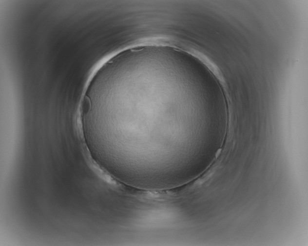 X0000113140960200909110931