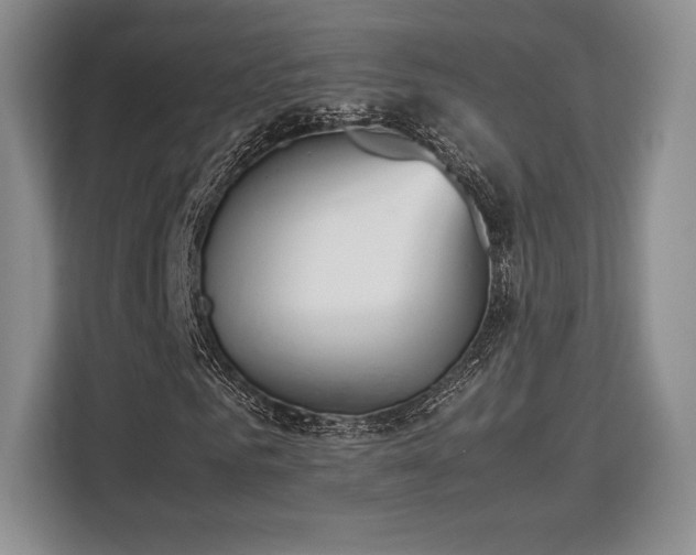 X0000113140961200909110931