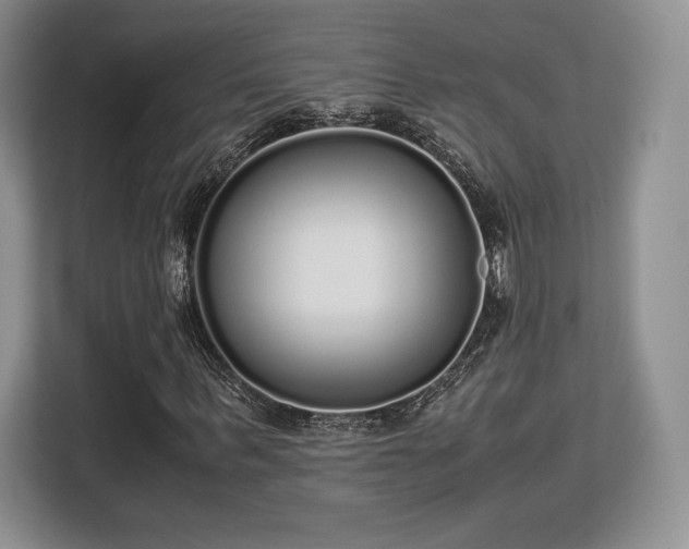 X0000113140963200909110931