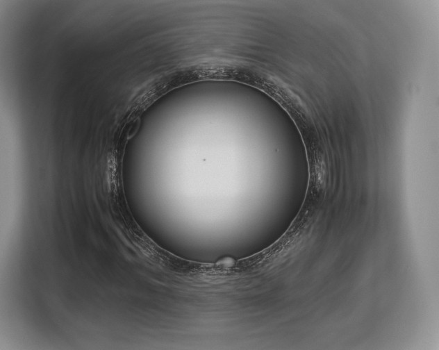 X0000113140964200909110931