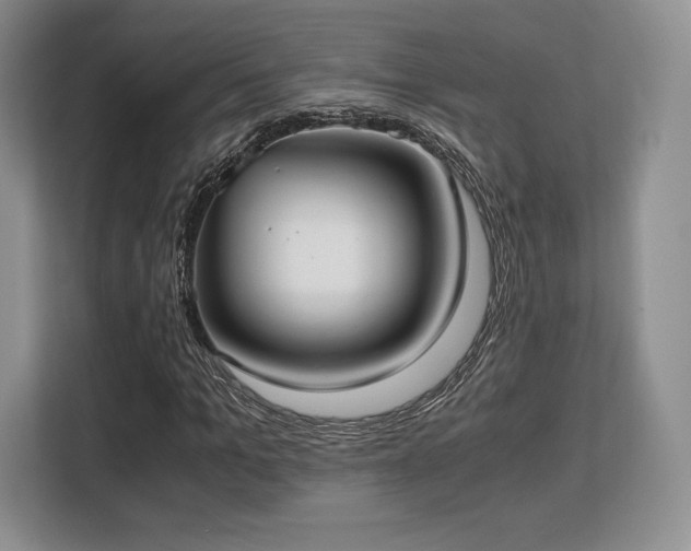 X0000113140965200909110931