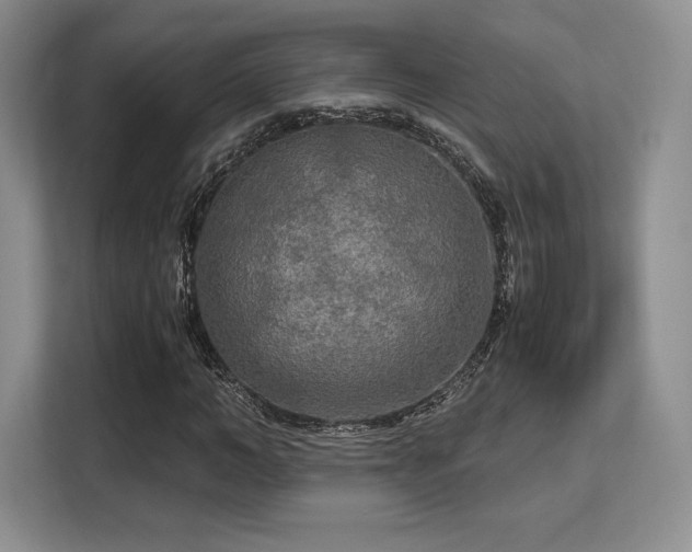 X0000113140966200909110931