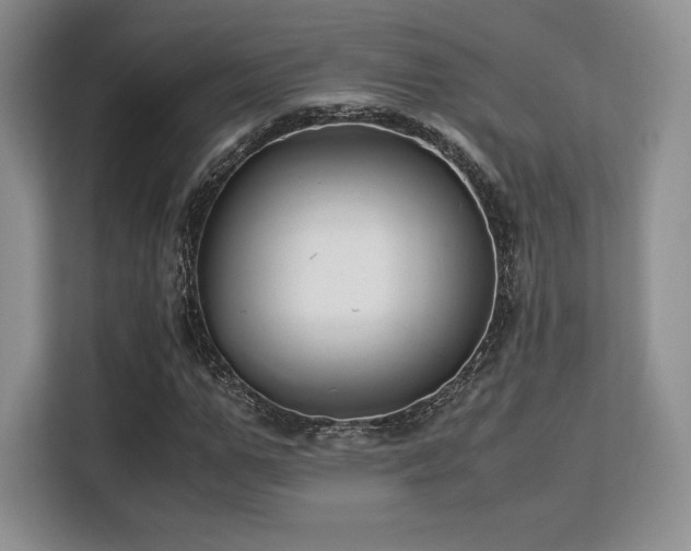 X0000113140967200909110931