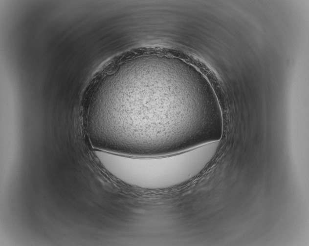 X0000113140968200909110931