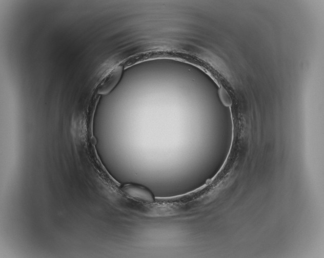 X0000113140969200909110931