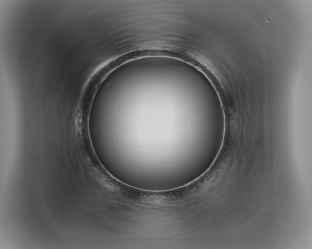 X0000113140971200909110930