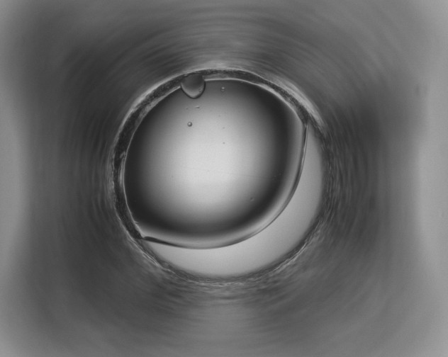 X0000113140972200909110930