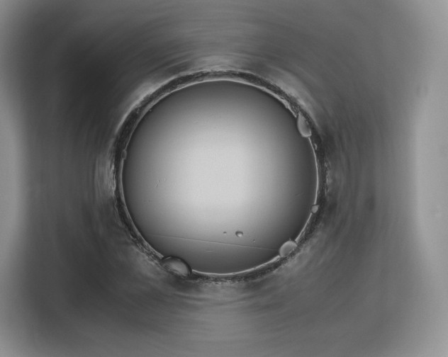 X0000113140973200909110930