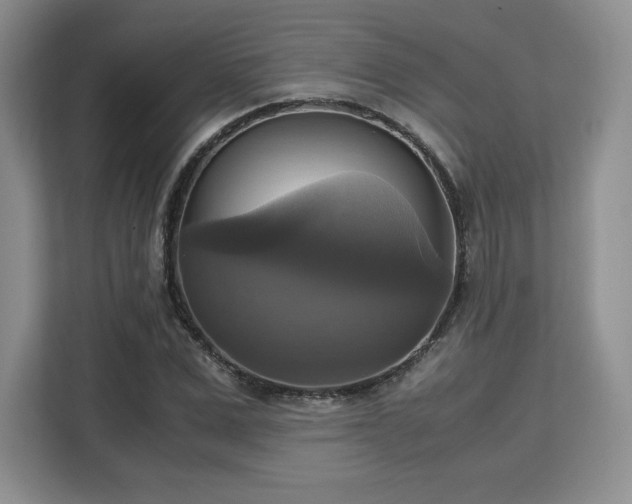 X0000113140975200909110930