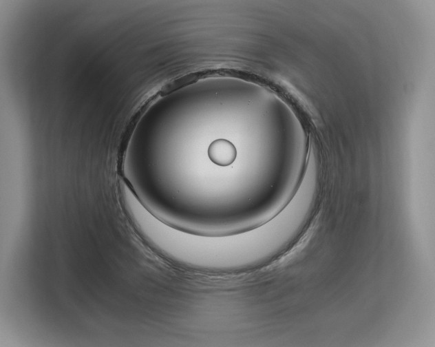 X0000113140977200909110930