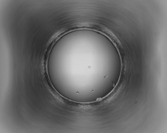 X0000113140978200909110930