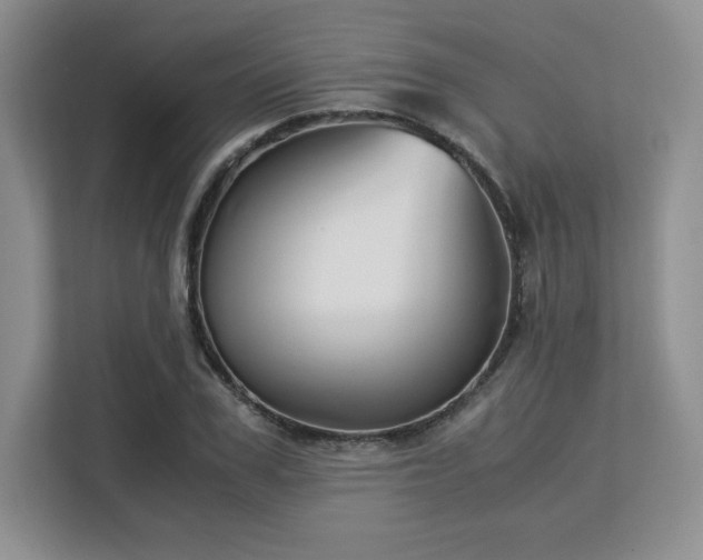 X0000113140979200909110930