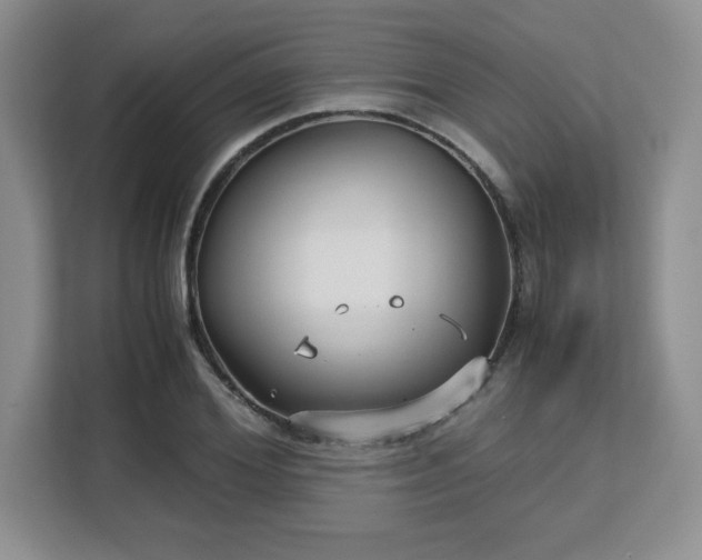 X0000113140980200909110930