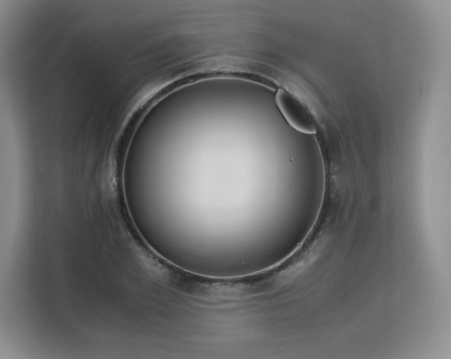 X0000113140981200909110930