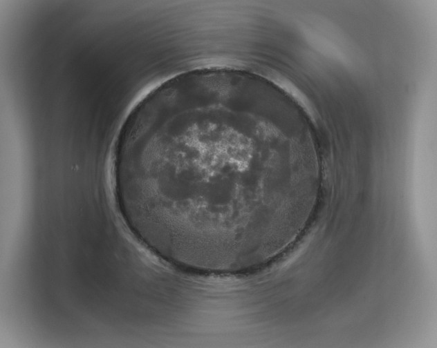 X0000113140983200909110930