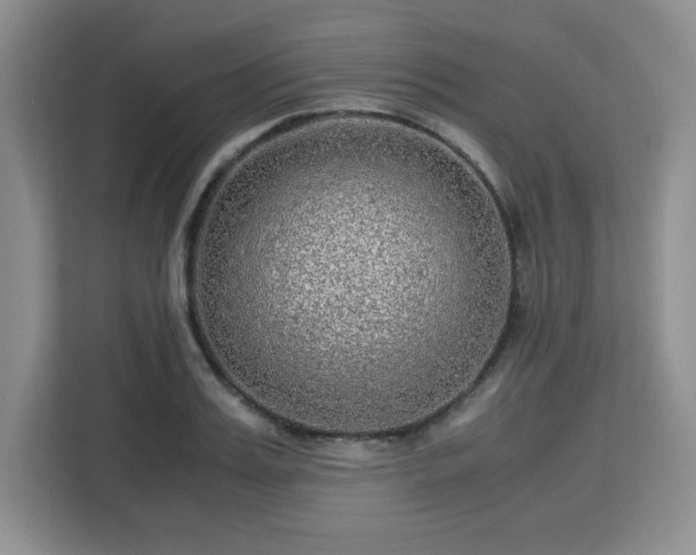 X0000113140987200909110930