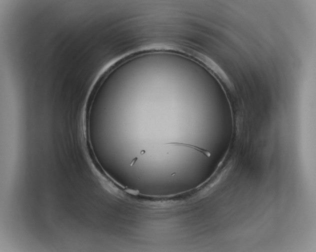 X0000113140988200909110930