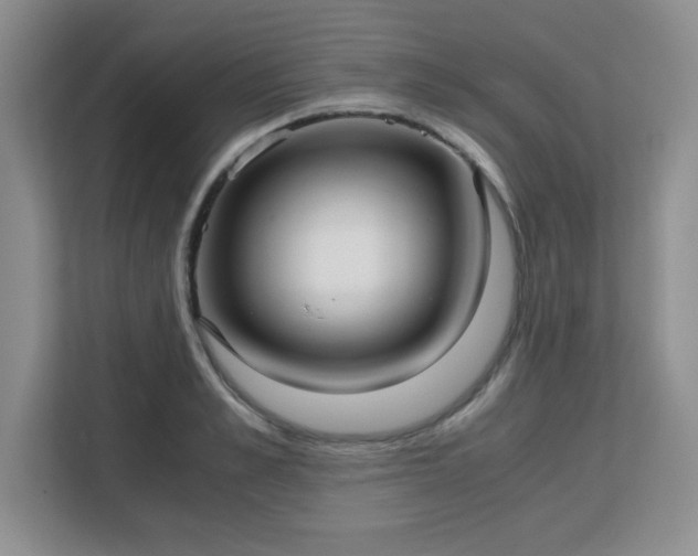 X0000113140989200909110930